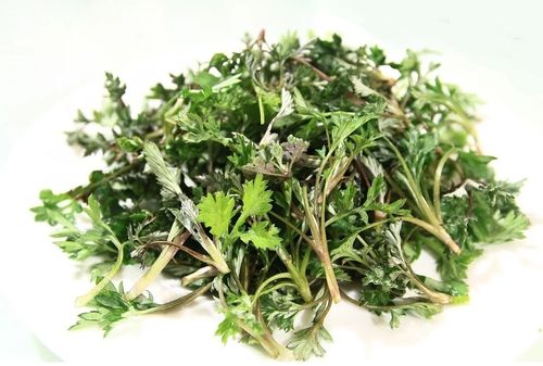 Beifußkraut einjährig BIO - Artemisia Annua  100g