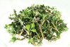 Beifußkraut einjährig BIO - Artemisia Annua  100g